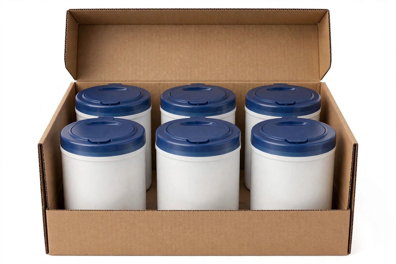 Disinfecting Wipes Canister Case (6 Ct)